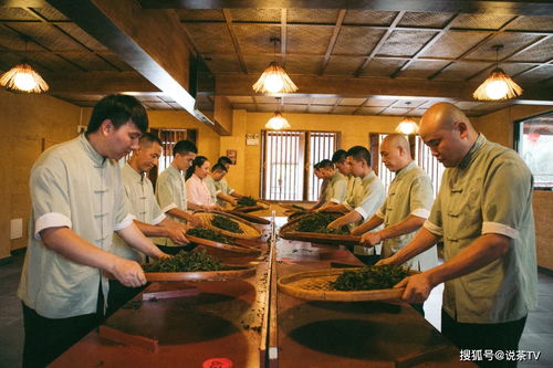 历时近一年,第二届 传承者 传统技艺制茶大会实操比拼即将来袭